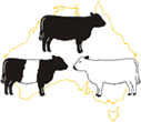 Galloways Australia Logo
